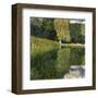 Schonbrunn Park-Gustav Klimt-Framed Giclee Print