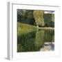 Schonbrunn Park-Gustav Klimt-Framed Giclee Print