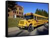 School Bus, St Joseph, Missouri, Midwest, United States of America, North America-Simon Montgomery-Framed Stretched Canvas