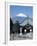 School Children and Temple, Mount Fuji, Honshu, Japan-null-Framed Photographic Print