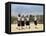 School Children, Cuilapan, Oaxaca, Mexico, North America-R H Productions-Framed Stretched Canvas