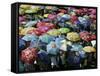 School Children Hold Up their Umbrellas after Taking Part in Umbrellas for Peace March, St. Helena-null-Framed Stretched Canvas