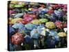 School Children Hold Up their Umbrellas after Taking Part in Umbrellas for Peace March, St. Helena-null-Stretched Canvas