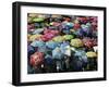 School Children Hold Up their Umbrellas after Taking Part in Umbrellas for Peace March, St. Helena-null-Framed Photographic Print