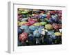 School Children Hold Up their Umbrellas after Taking Part in Umbrellas for Peace March, St. Helena-null-Framed Photographic Print