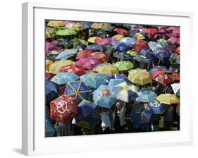 School Children Hold Up their Umbrellas after Taking Part in Umbrellas for Peace March, St. Helena-null-Framed Photographic Print