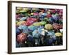 School Children Hold Up their Umbrellas after Taking Part in Umbrellas for Peace March, St. Helena-null-Framed Photographic Print