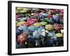 School Children Hold Up their Umbrellas after Taking Part in Umbrellas for Peace March, St. Helena-null-Framed Photographic Print