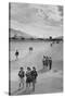 School Children-Ansel Adams-Stretched Canvas