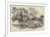 School Fete at Codrington College, Barbadoes-null-Framed Giclee Print