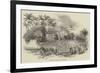 School Fete at Codrington College, Barbadoes-null-Framed Giclee Print