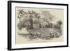 School Fete at Codrington College, Barbadoes-null-Framed Giclee Print