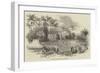 School Fete at Codrington College, Barbadoes-null-Framed Premium Giclee Print