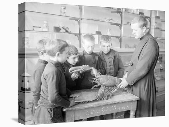 School For Fishing: Monk Shows How to Handle a Lobster, 20th Century-Andrew Pitcairn-knowles-Stretched Canvas