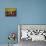 School Girls Pray before Class at the Sacred Heart of Turgeau School in Port-Au-Prince-null-Mounted Photographic Print displayed on a wall