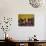 School Girls Pray before Class at the Sacred Heart of Turgeau School in Port-Au-Prince-null-Photographic Print displayed on a wall