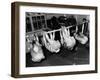 School Gym Class-null-Framed Photographic Print