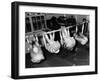 School Gym Class-null-Framed Photographic Print