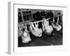 School Gym Class-null-Framed Photographic Print