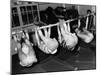 School Gym Class-null-Mounted Photographic Print