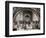 School of Athens, C1510-Raphael-Framed Giclee Print