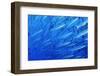 School of Blackfin Barracuda-Hal Beral-Framed Photographic Print