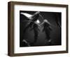 School of Catfish-Henry Horenstein-Framed Photographic Print