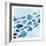 School of Fish 1-Kimberly Allen-Framed Art Print