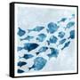 School of Fish 1-Kimberly Allen-Framed Stretched Canvas