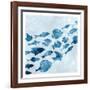 School of Fish 1-Kimberly Allen-Framed Art Print