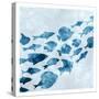 School of Fish 1-Kimberly Allen-Stretched Canvas