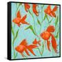 School of Fish II-Gina Ritter-Framed Stretched Canvas