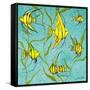 School of Fish IV-Gina Ritter-Framed Stretched Canvas