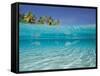School of Fish, Submerged, Surface Level View-null-Framed Stretched Canvas