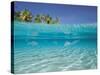School of Fish, Submerged, Surface Level View-null-Stretched Canvas