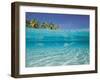 School of Fish, Submerged, Surface Level View-null-Framed Photographic Print