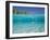 School of Fish, Submerged, Surface Level View-null-Framed Photographic Print