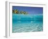 School of Fish, Submerged, Surface Level View-null-Framed Photographic Print