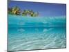 School of Fish, Submerged, Surface Level View-null-Mounted Photographic Print