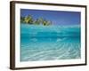 School of Fish, Submerged, Surface Level View-null-Framed Photographic Print