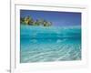 School of Fish, Submerged, Surface Level View-null-Framed Photographic Print