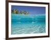 School of Fish, Submerged, Surface Level View-null-Framed Photographic Print