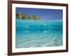 School of Fish, Submerged, Surface Level View-null-Framed Photographic Print