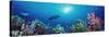 School of Fish Swimming Near a Reef, Indo-Pacific Ocean-null-Stretched Canvas