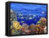 School of Fish Swimming Near a Reef-null-Framed Stretched Canvas