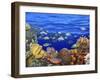 School of Fish Swimming Near a Reef-null-Framed Photographic Print