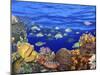 School of Fish Swimming Near a Reef-null-Mounted Photographic Print