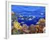 School of Fish Swimming Near a Reef-null-Framed Photographic Print