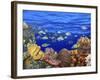 School of Fish Swimming Near a Reef-null-Framed Photographic Print