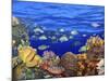 School of Fish Swimming Near a Reef-null-Mounted Photographic Print